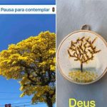 A Pausa que me fez ouvir Deus. Por Marina Campos