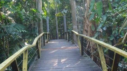 A PONTE DO CAMALEÃO SOBRE O RIO MINDU, NOS PÕE A PENSAR. por Nelson Peixoto.