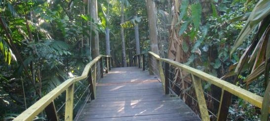 A PONTE DO CAMALEÃO SOBRE O RIO MINDU, NOS PÕE A PENSAR. por Nelson Peixoto.