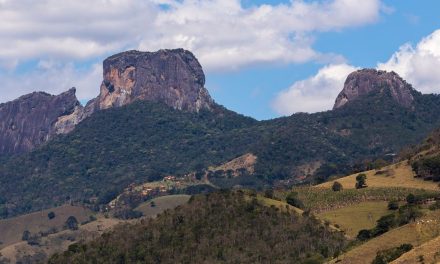 COLUNA DO VINHO E DAS CRÔNICAS DO THOZZI