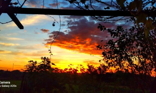 LINDA FOTO PÔR DO SOL EM JUMIRIM (LAERTE PASQUOTO)