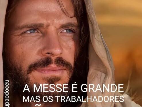 As ovelhas perdidas (Chico Machado)