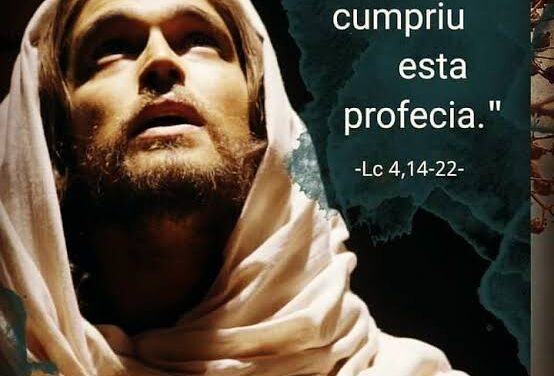O programa de Jesus (Chico Machado)