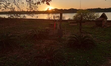 A minha Paz (Chico Machado)