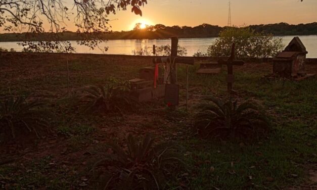 A minha Paz (Chico Machado)
