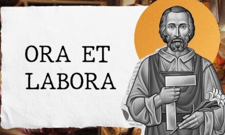As consequências da missão (Chico Machado)