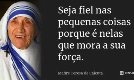 Fidelidade às pequenas coisas (Chico Machado)