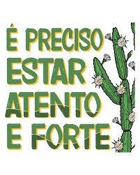 A lei e a libertação para vida plena (Chico Machado)